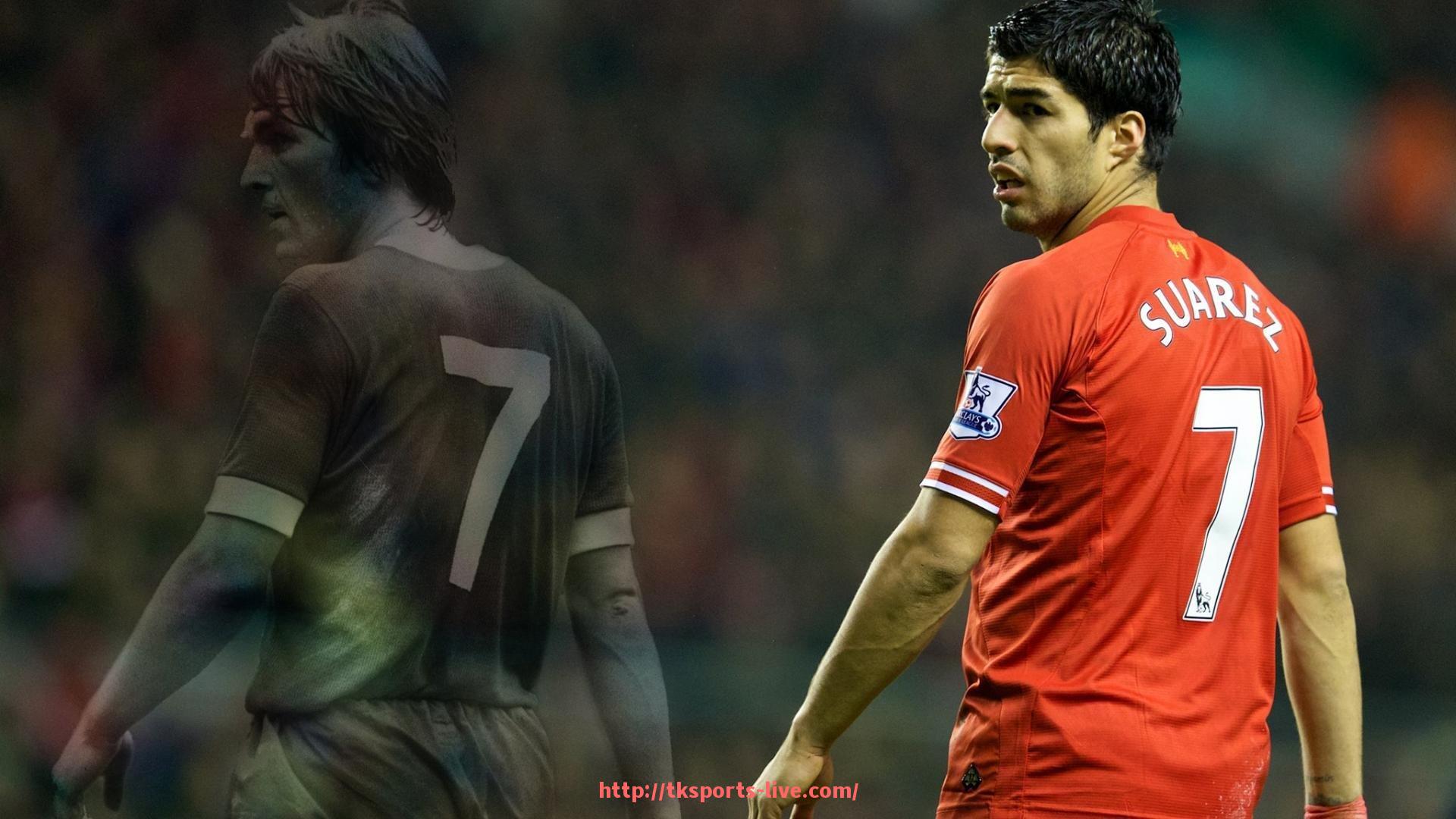 TK体育直播-意甲蓝狐球队标志及品牌形象设计详解