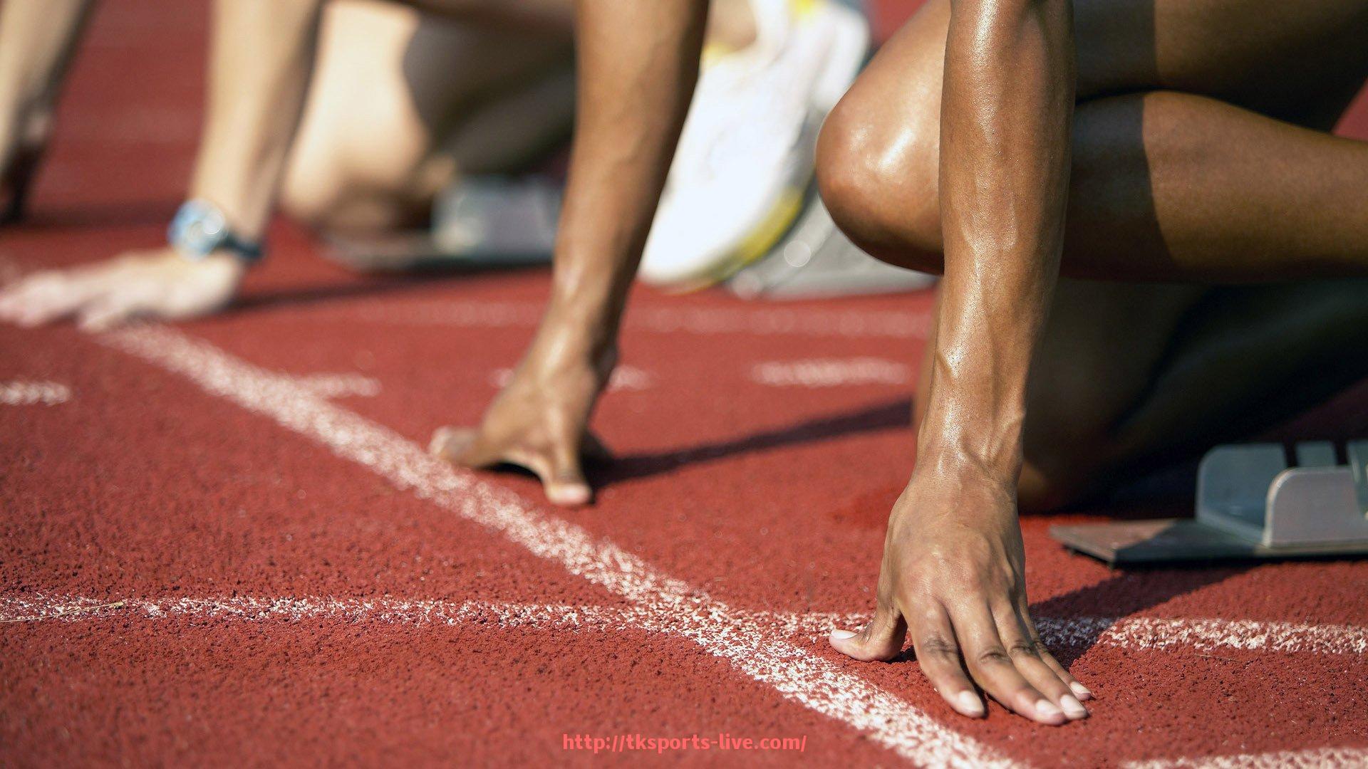 TK体育直播-世俱杯商业合作风险评估指标体系构建与数据应用